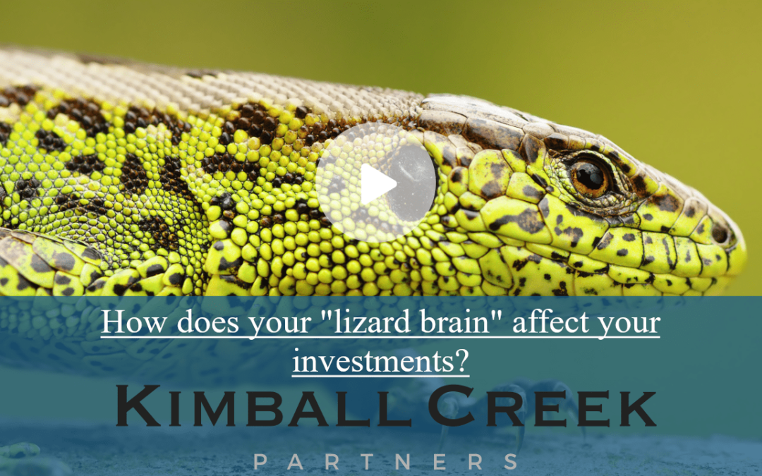 How does your ‘lizard brain’ affect your investments?