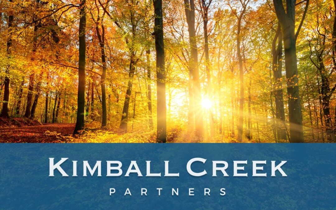 Life is trying to get back to as normal despite the ongoing impact from COVID19