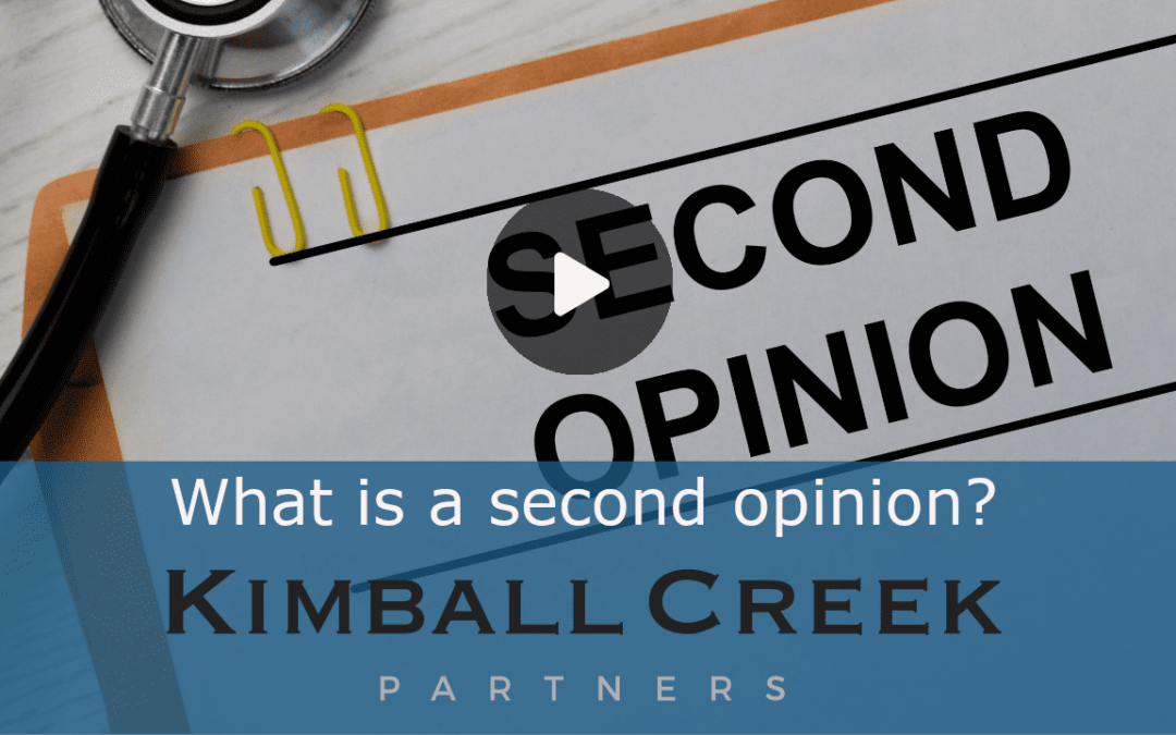 What is a “second opinion” of my portfolio?