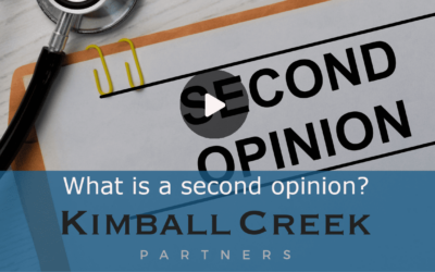 What is a “second opinion” of my portfolio?
